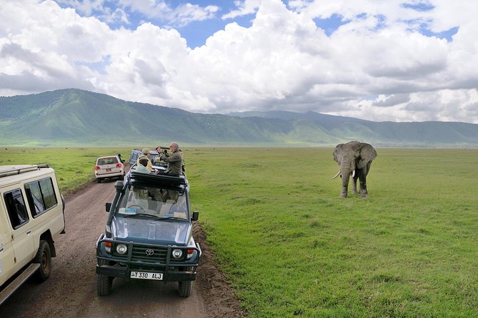 7 Days Tarangire, Serengeti, Ngorongoro & Manyara Camping Safari Tour Tanzania - Tarangire begins the safari with a different rhythm