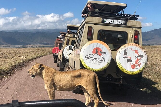 7Day Serengeti Migration (Ndutu), Crater, Hot Springs & City Tour - Why Ndutu makes this seven-day safari special