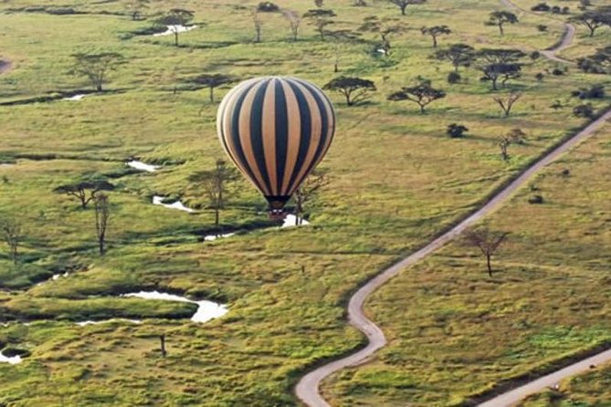 7Day Serengeti Migration (Ndutu), Crater, Hot Springs & City Tour - Day 4: Down into Ngorongoro Crater