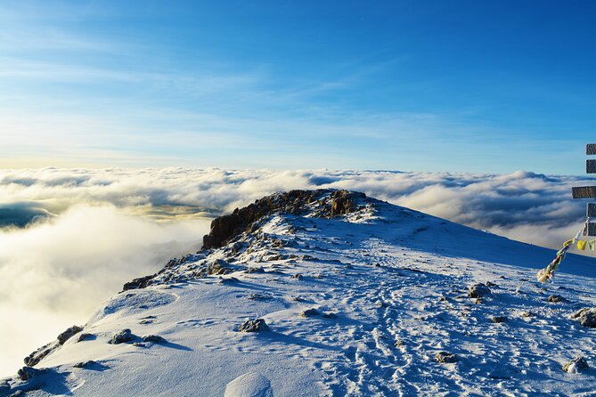 8 Day Climbing Kilimanjaro Via Lemosho Route - Day 5: The Barranco Wall to Karanga Camp