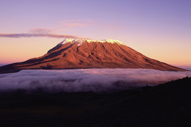 8 Day Climbing Kilimanjaro Via Lemosho Route - Day 2: Forest Camp to Shira 1 Camp