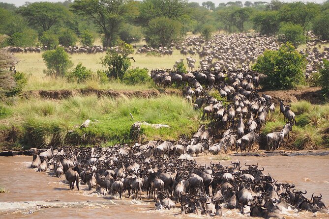8-Day Grumeti Migration Safari-Luxury Tour May-July - Why the Grumeti migration is the heart of this safari