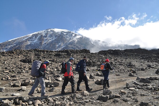 8 Day Kilimanjaro Lemosho Climb - Day 5: Scrambling over Barranco Wall