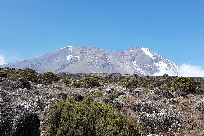 8 Day Kilimanjaro Lemosho Climb - Day 7: Stella Point, Uhuru Peak, and the long descent