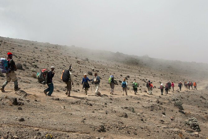 8 Day Kilimanjaro Lemosho Climb - Day 1: Lemosho Gate and the Kilimanjaro rainforest