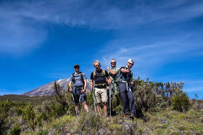 8 Day Kilimanjaro Private Climb via Lemosho Route - Day 3: Heather moorland and Shira 2 Camp