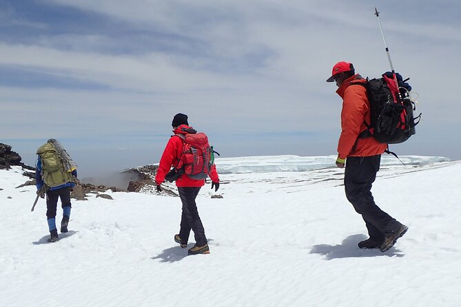 8 Day Kilimanjaro Private Climb via Lemosho Route - Day 7: Stella Point, Uhuru Peak, and the long descent