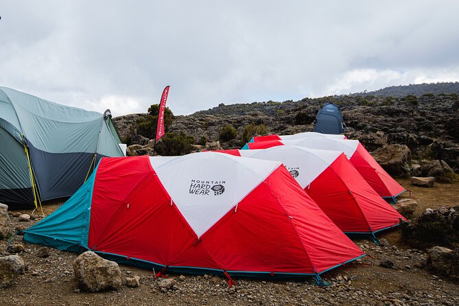 8 Day Kilimanjaro Trek via Lemosho Route - Key points to know before booking