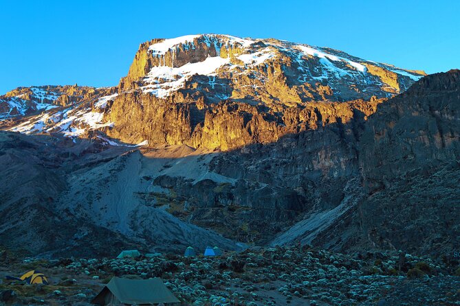 8 Day Kilimanjaro Trek via Lemosho Route - Day 3: leaving the trees for Shira 1 Camp