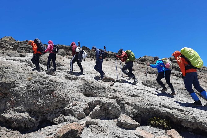 8 Day Mount Kilimanjaro Trekking Lemosho Route - Why Lemosho is a smart route to Kilimanjaro
