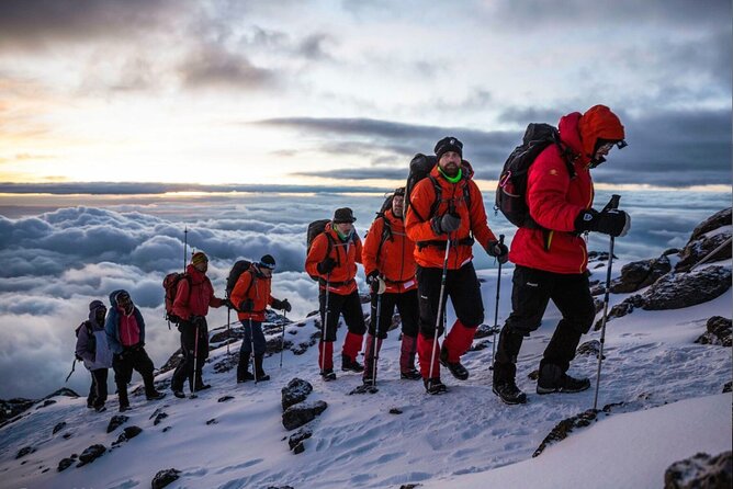 8 Day Mount Kilimanjaro Trekking Lemosho Route - Day 2: Climbing to Shira 1 Camp