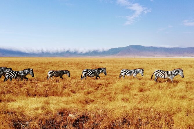 8-Day Private Guided Tanzania Safari with Pick Up - Days 4 and 5: Two different views of the Serengeti