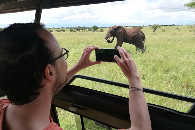 8-Day Private Guided Tanzania Safari with Pick Up - Day 7: Six hours inside Ngorongoro Crater