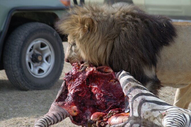 8 Day private wildebeest migration safari Serengeti Ngorongoro - Days 4 and 5: Two long days following the herds