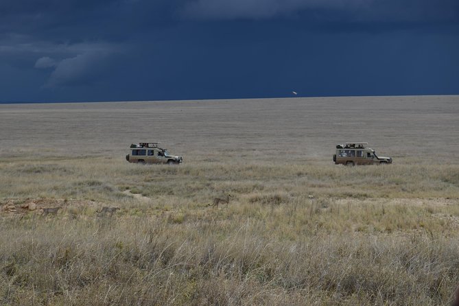 8 Day private wildebeest migration safari Serengeti Ngorongoro - Day 7: Wildlife in the Ngorongoro Crater