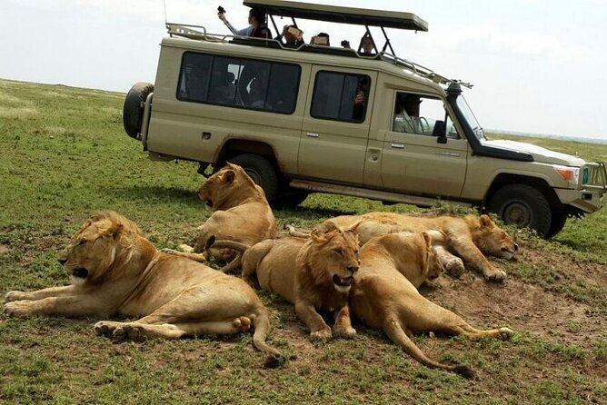 8 Day private wildebeest migration safari Serengeti Ngorongoro - Day 8: Materuni Waterfalls, coffee, and Chemka Hot Spring
