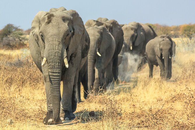 8 Day Safari The Best of Tanzania & Lake Eyasi - Why this eight-day route works