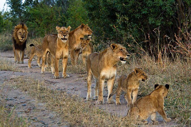 8 Day Safari The Best of Tanzania & Lake Eyasi - Tarangire: elephants beneath baobab trees