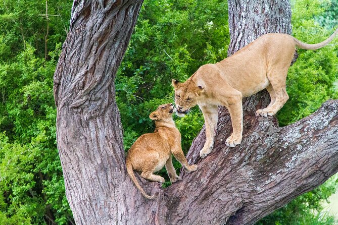 8 Day Safari The Best of Tanzania & Lake Eyasi - Lake Eyasi and the Hadzabe way of life
