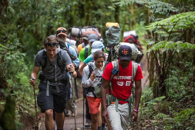 8-Day Small-group Lemosho Kilimanjaro Summit Trekking - Day 3: A full day on the Shira Plateau