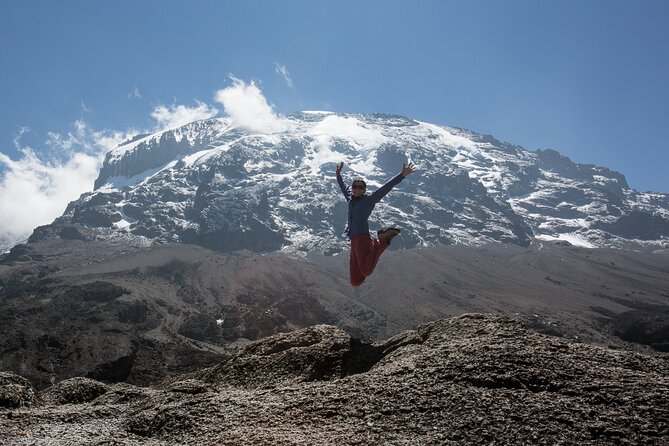 8-Day Small-group Lemosho Kilimanjaro Summit Trekking - Day 2: Leaving the forest for Shira Ridge