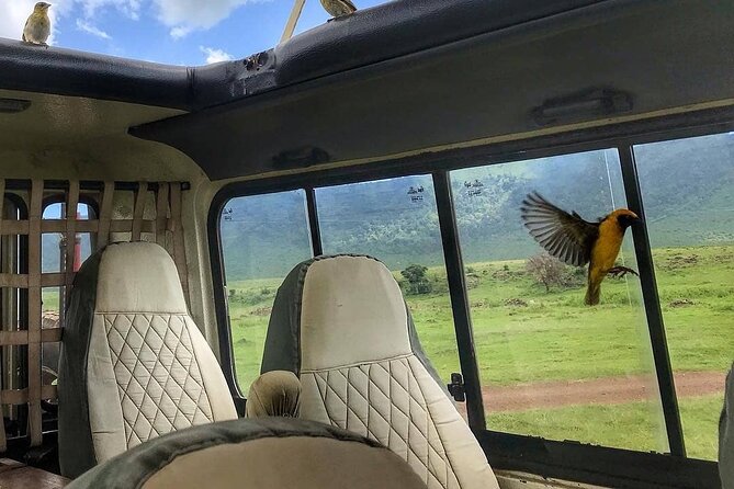 8-Day Tanzania Private Safari Tour with Airport Pickup - A private start near Kilimanjaro Airport