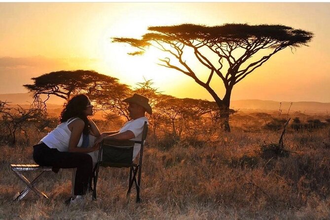 8-Day Tanzania Private Safari Tour with Airport Pickup - Day 8: The airport transfer