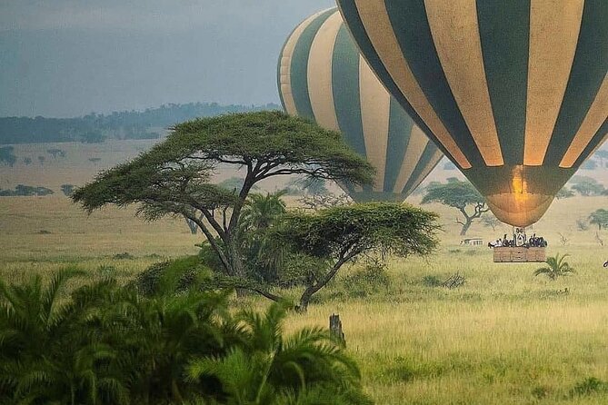 8-Day Tanzania Private Safari Tour with Airport Pickup - What $5,500 per person really buys