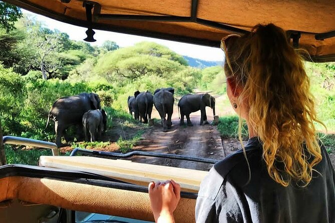 8-Day Tanzania Private Safari Tour with Airport Pickup - Day 3: Lake Manyara’s escarpment views