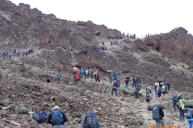 8 Days 7 Nights Kilimanjaro Lemosho Route - Day 6: Barafu Camp and the Southern Circuit