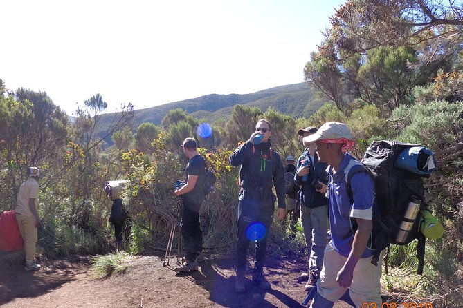 8 Days 7 Nights Kilimanjaro Lemosho Route - Day 1: Moshi to Londorossi Gate and the rainforest