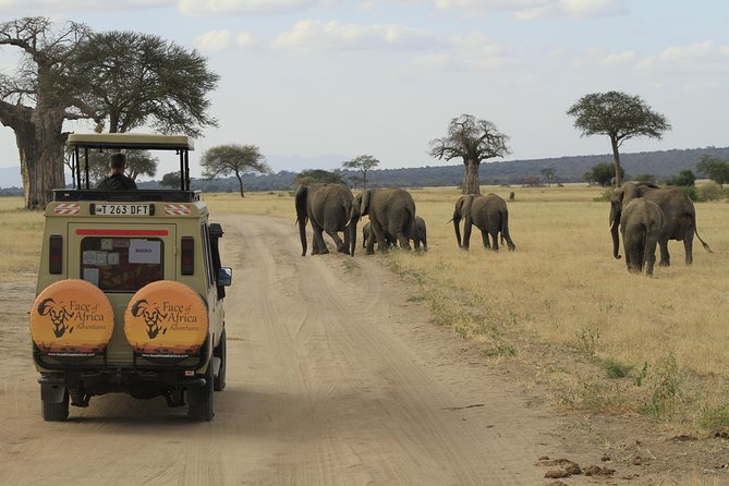 8 Days 7 Nights Private Lodge Safari - Key points to know before booking