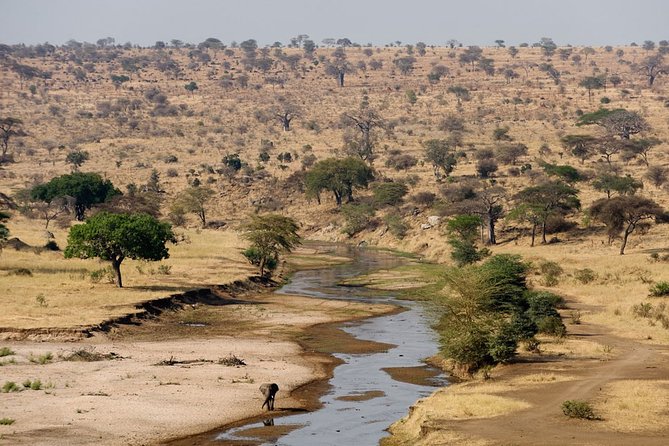 8 Days 7 Nights Tanzania Wildlife & Culture Lodge Safari - Day 5: A final Serengeti morning and the crater rim