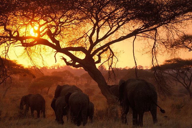8 Days 7 Nights Tanzania Wildlife & Culture Lodge Safari - Day 7: Lake Eyasi and the cultural side of the route