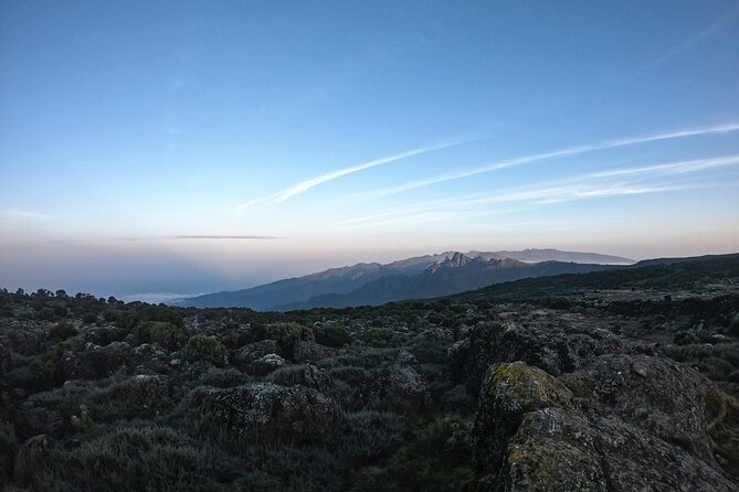 8 Days Climbing Mt.Kilimanjaro (Lemosho Route) - Day 2: crossing into the heather zone at Shira 1