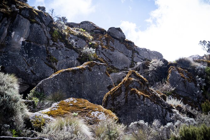 8 Days Climbing Mt.Kilimanjaro (Lemosho Route) - Day 3: a useful acclimatization day at Shira 2