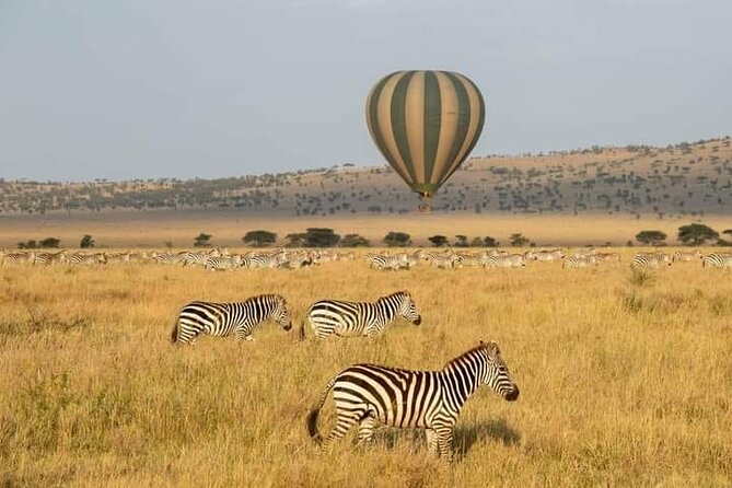8 Days Follow the Wildebeest Migration River Crossing Safari - What the $4,539 price really buys you