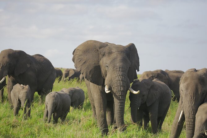 8 Days Green Season Offer - Luxury Serena Safari - What the $3,978 price includes