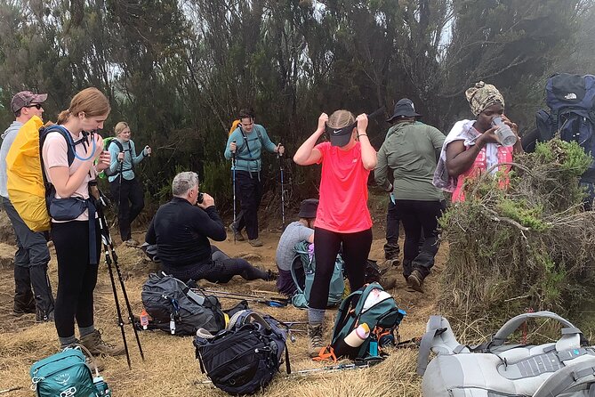 8 Days Guided Private Trekking in Mount Kilimanjaro - Day 7: Uhuru Peak and the long descent