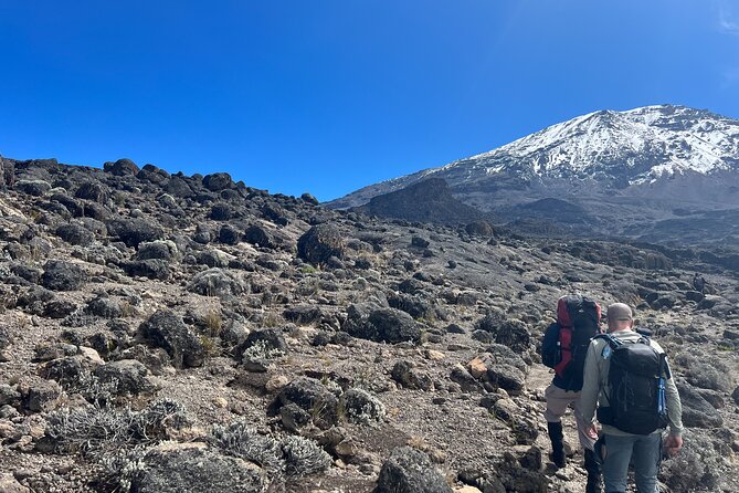 8 Days Kilimanjaro Climbing Lemosho Route - Day 5: Barranco Wall to Karanga Camp