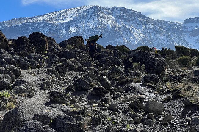 8 Days Kilimanjaro Climbing Lemosho Route - Airport pickup and the Moshi orientation