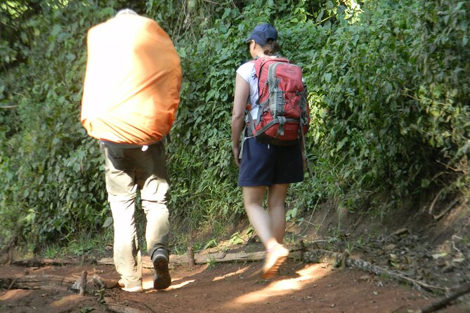 8 Days Kilimanjaro Climbing tour via the Lemosho Route - Day 4: Lava Tower and the Barranco drop