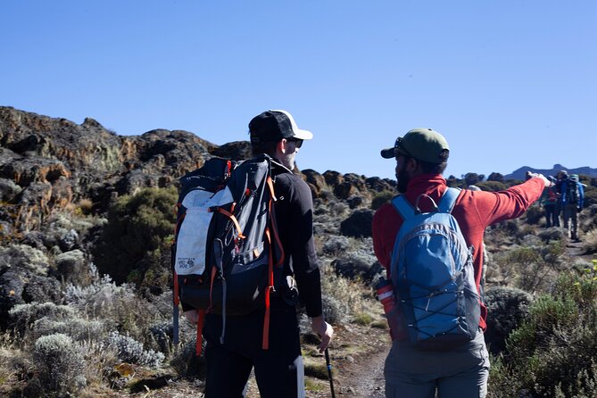8 Days Kilimanjaro Climbing tour via the Lemosho Route - Day 5: The Barranco Wall and Karanga Camp