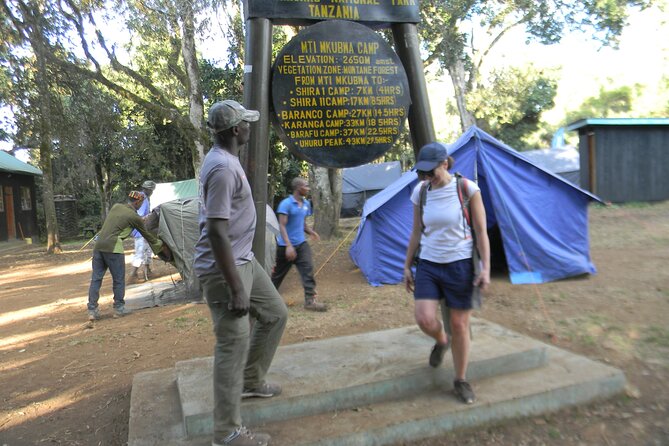8 Days Kilimanjaro Climbing tour via the Lemosho Route - Day 7: Uhuru Peak and the long descent