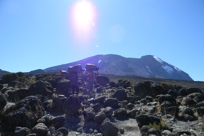 8 Days Kilimanjaro Climbing tour via the Lemosho Route - Day 3: Shira 2 and the first acclimatization walk