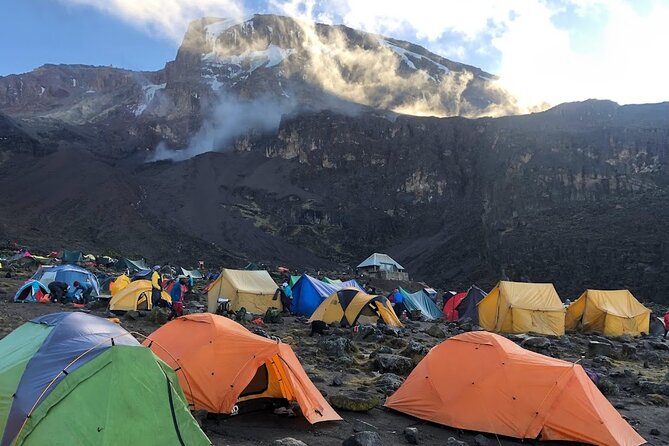 8 Days Kilimanjaro Hike via Lemosho Route - Day 3: Shira Plateau and acclimatization