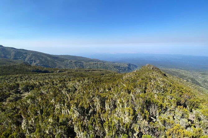 8 Days Lemosho Route - Day 7: Stella Point, Uhuru Peak, and the long descent