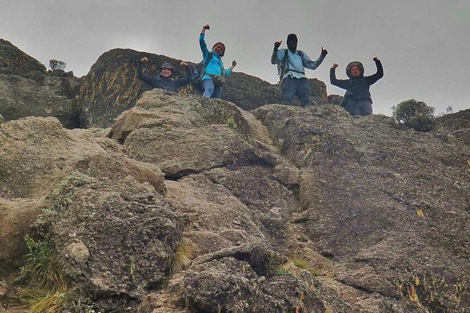 8 Days Lemosho Route Climbing - Summit day and the reality of Uhuru Peak