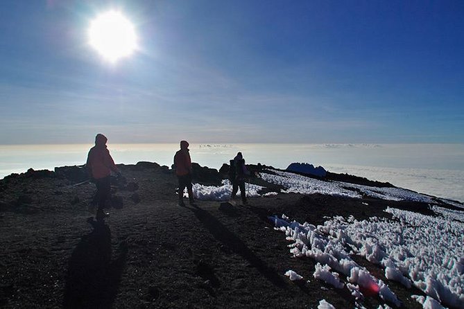 8 Days Lemosho Route Climbing - Price, private format, and overall value