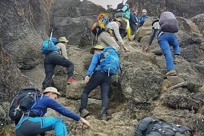 8 Days Lemosho Route Climbing - Who should book this climb
